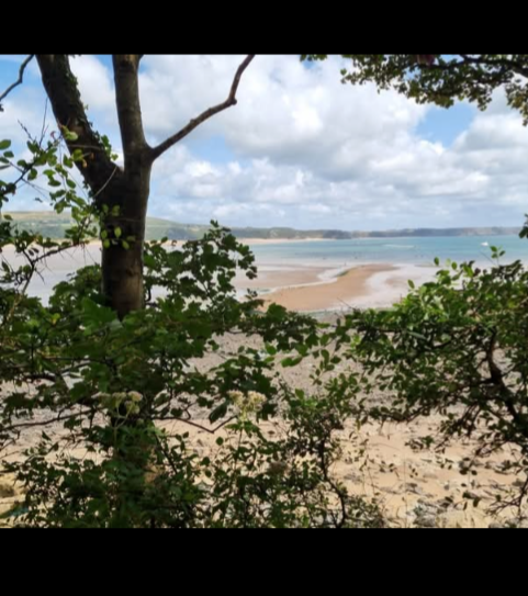 Gower views